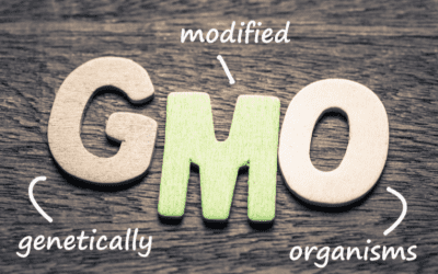 GMO and kidney health