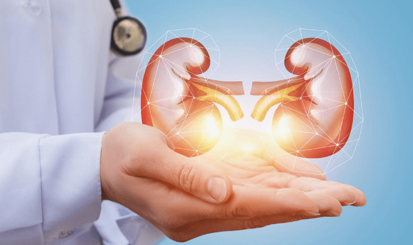 How to Check Your Kidney Health at Home