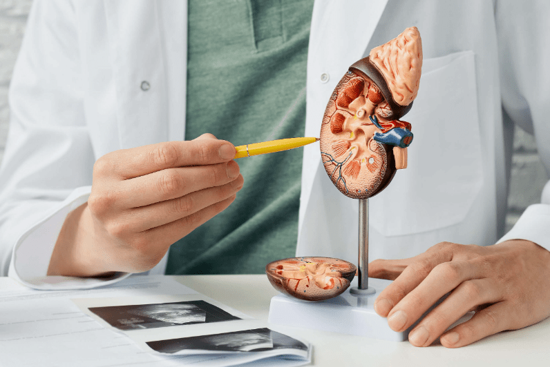 How to Check Your Kidney Health at Home1