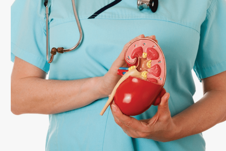 Boosting wellness how to improve kidney function in elderly
