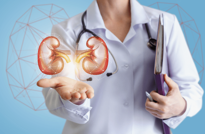 Boosting Wellness How To Improve Kidney Function In Elderly boosting-wellness-how-to-improve-kidney-function-in-elderly