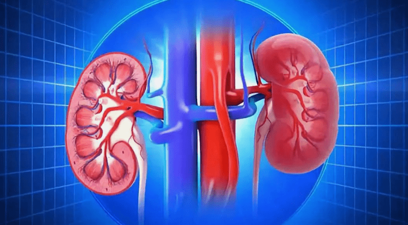 How to Prevent Kidney Failure in Diabetes