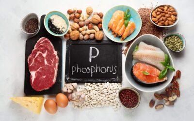 Phosphorus Foods and CKD: Your Diet Guide for Kidney Health
