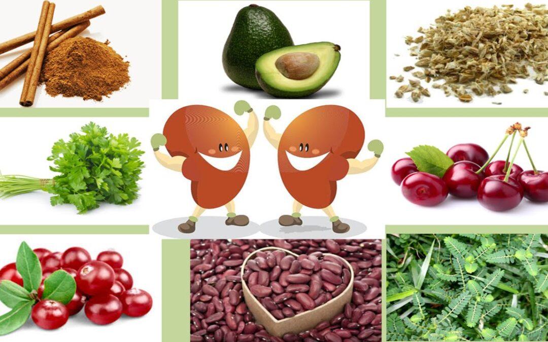 Plant Based Kidney Diet