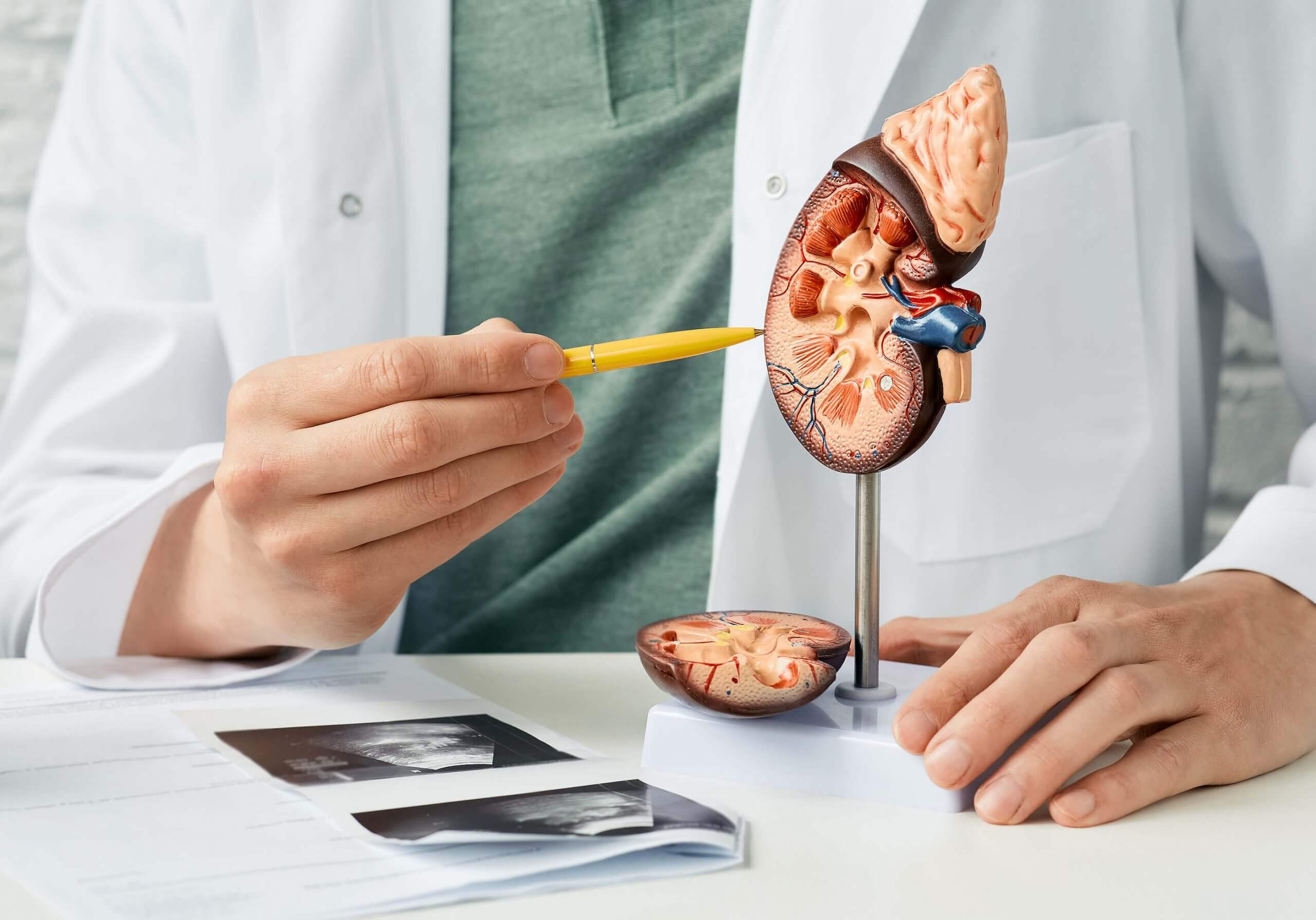 Regular Screening for Kidney Function