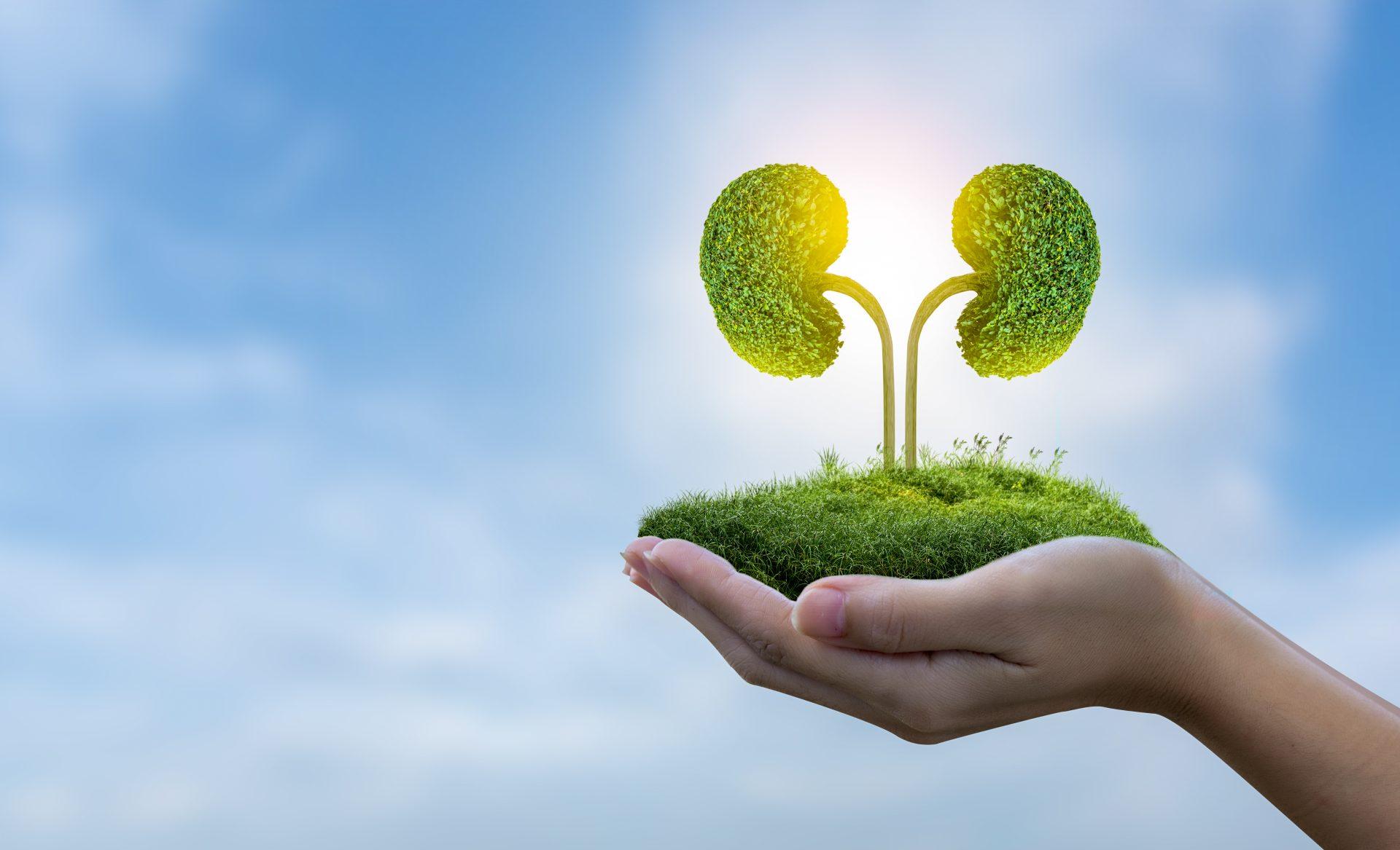 Scientific Research Supporting the Efficacy of a Plant-Based Kidney Diet
