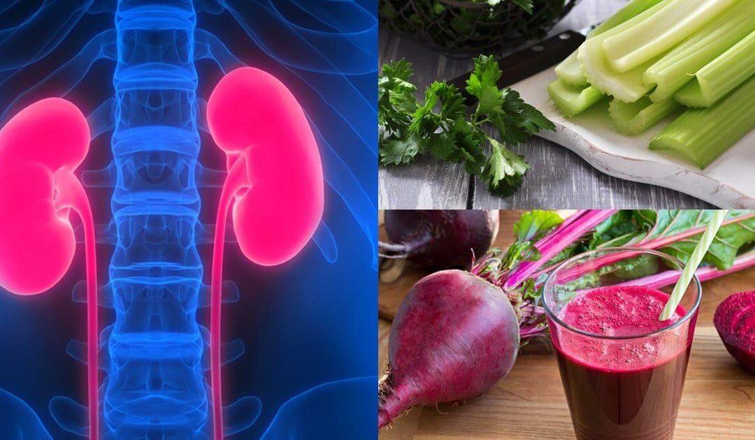 low protein foods list for kidney disease