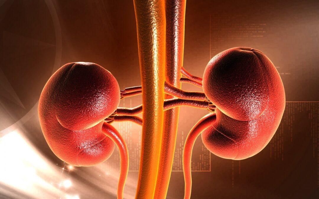 Discover Your Secret Weapon Against Kidney Disease Today