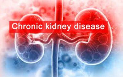 Can Potassium Cause Chronic Kidney Disease?
