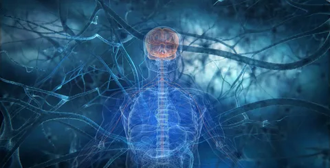 How Lupus Affects the Nervous System