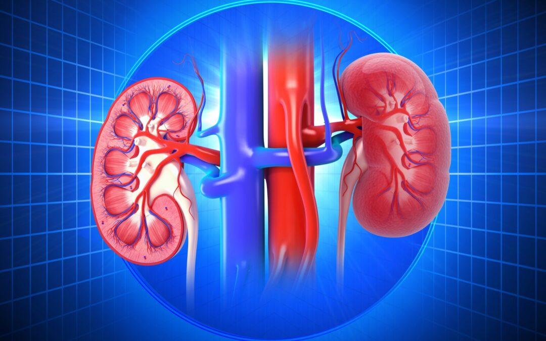 What are the pros and cons of undergoing kidney dialysis