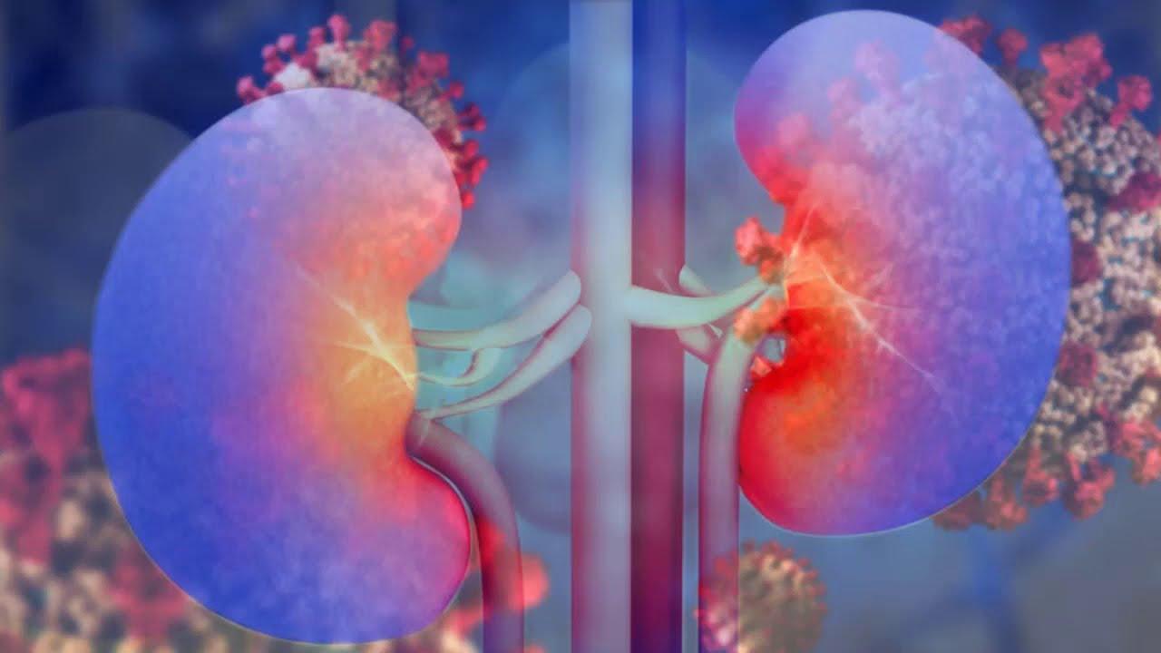 pros and cons of undergoing kidney dialysis