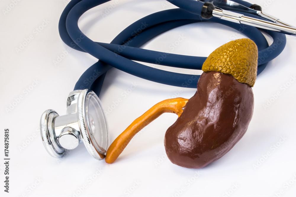 High blood pressure damages the kidneys