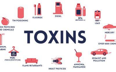 How Environmental Toxins Impact Our Health