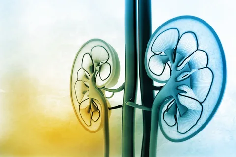 4 Ways to Lower Kidney Disease