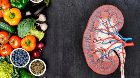 What are the best foods to eat if you have severe kidney disease or renal failure