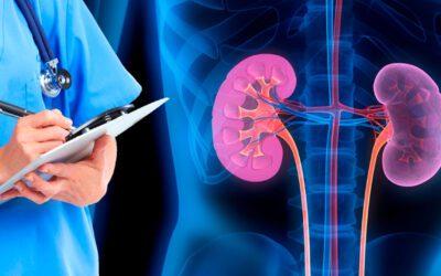 What is renal supportive care?
