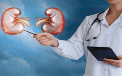 What is the difference between a nephrologist and a kidney specialist?