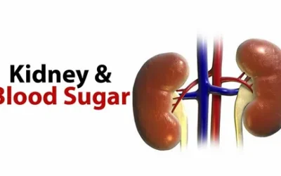 Why does uncontrolled blood sugar damage kidneys?