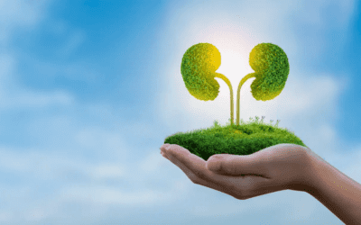 Providing Environmentally Sustainable Renal Care