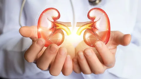 Diabetic Medication and Kidney Health