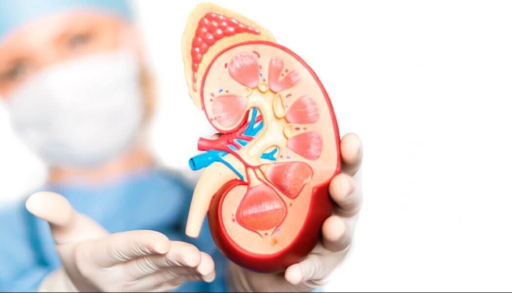 Best Kidney Care Tips for Summer