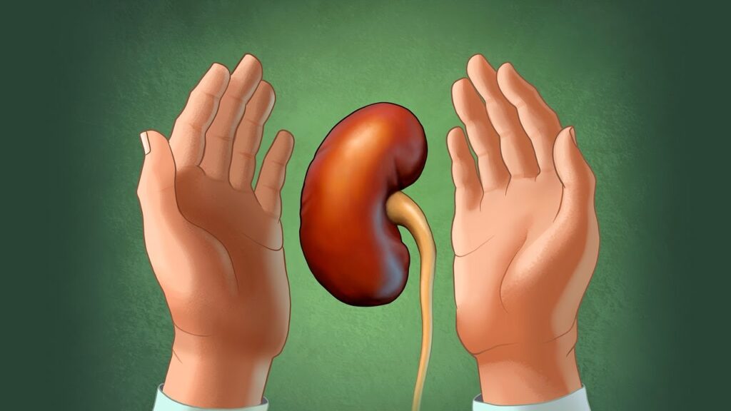 Benefits of Holistic Approach in Kidney Care